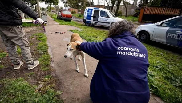 El Municipio rescató dos perros que se encontraban en condiciones inadecuadas de habitabilidad